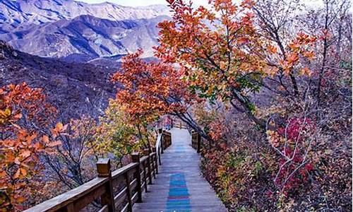 黑山公园门票价格_黑山公园门票价格表